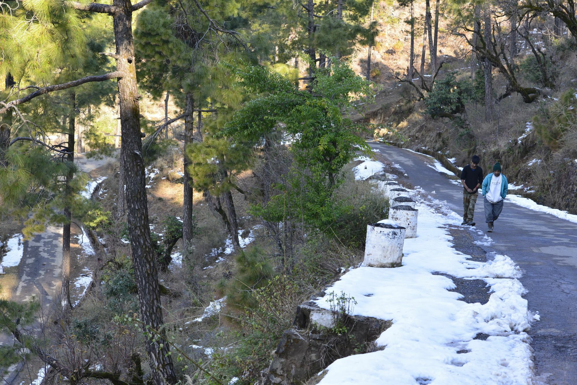 Asia Spa Resort Dharamshala Luaran gambar